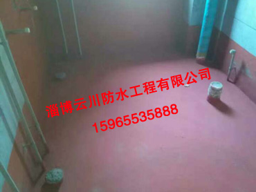 魯維制藥老年公寓室內(nèi)防水