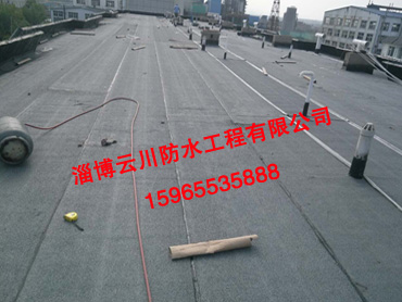 東城華府施工案例