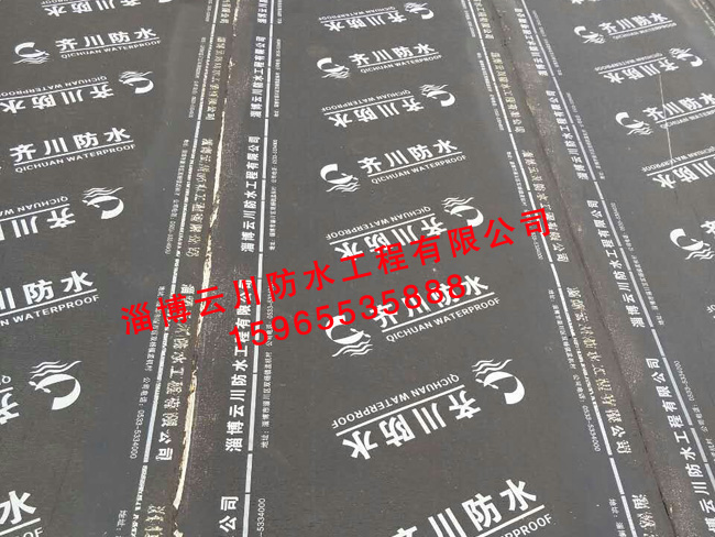 魯維制藥老年公寓防水工程