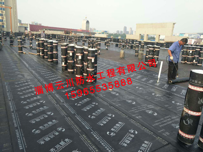 魯維制藥老年公寓防水工程