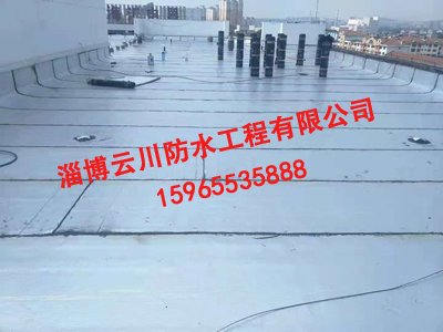屋面防水工程案例